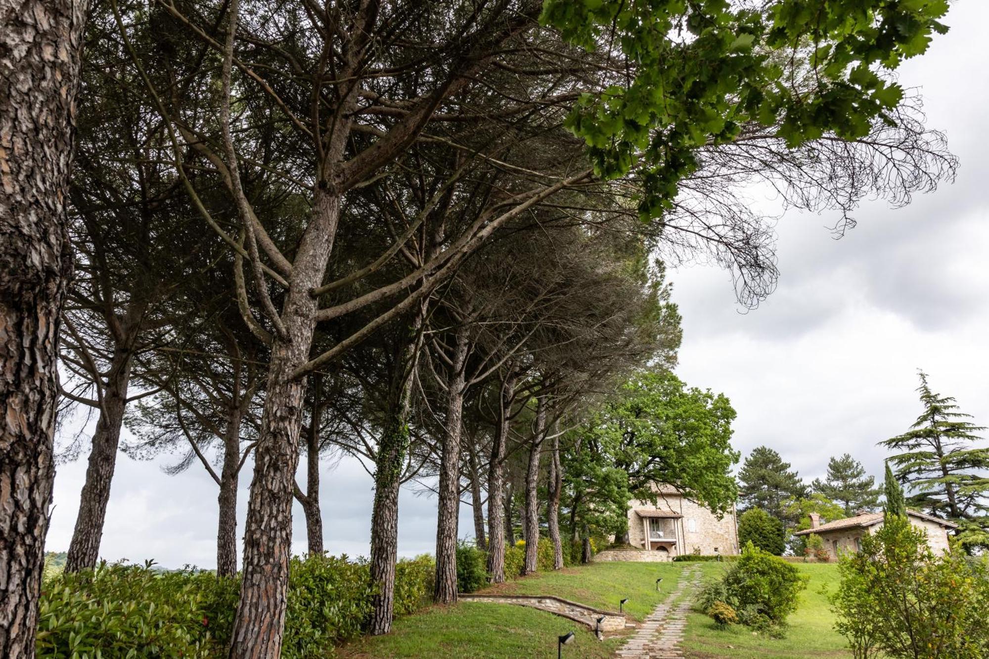 Tenuta Borgo San Michele Gubbio Exterior foto